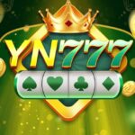 YN 777